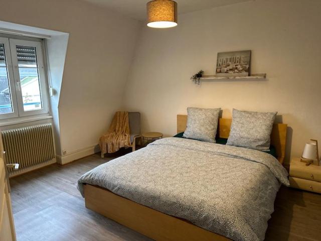 Beau F3 - Proche Gare Apartment Mulhouse Exterior photo